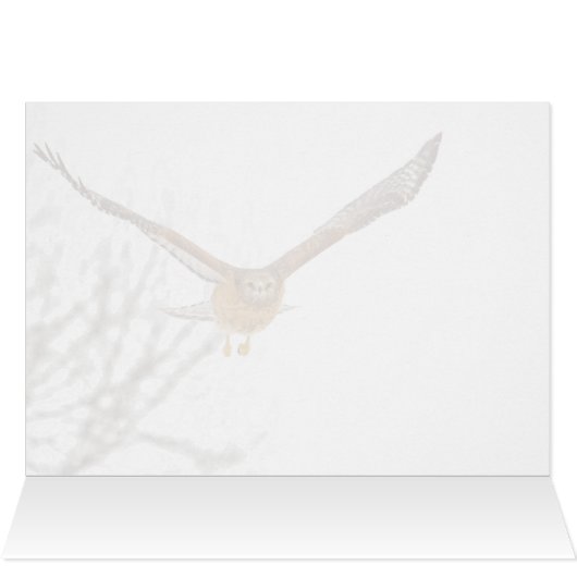 Hawk in vlucht (Binnen Horizontaal (Boven))