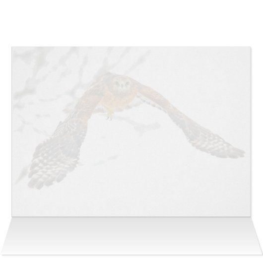 Hawk in vlucht (Binnen Horizontaal (Boven))