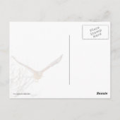 Hawk in vlucht briefkaart (Achterkant)