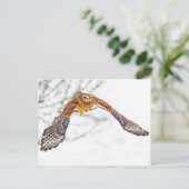Hawk in vlucht briefkaart (Staand voorkant)