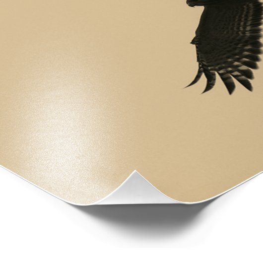 Hawk in vlucht foto afdruk (Hoek)