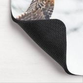 Hawk in vlucht muismat (Hoek)