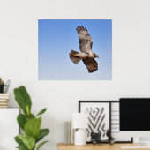 Hawk in vlucht poster (Thuiskantoor)