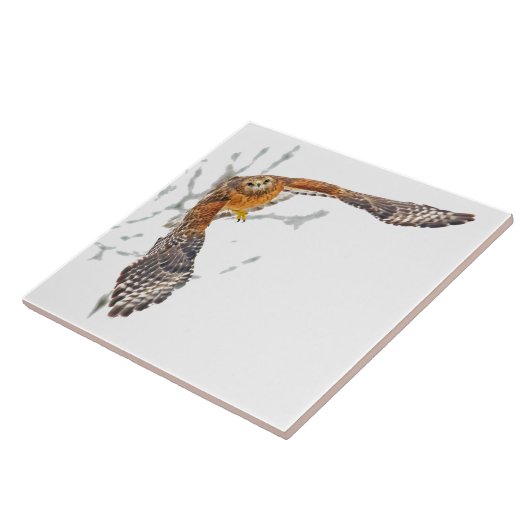 Hawk in vlucht tegeltje (Zijkant)