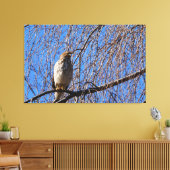 Hawk in Weeping Cherry Tree Canvas Afdruk (Insitu (Woonkamer))