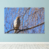 Hawk in Weeping Cherry Tree Canvas Afdruk (Insitu (Houten vloer))
