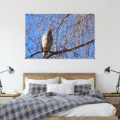 Hawk in Weeping Cherry Tree Canvas Afdruk (Insitu (Slaapkamer))