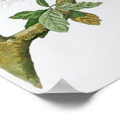 Hawk John Audubon Birds uit Amerika met rode schou Poster (Hoek)