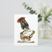 Hawk John James Audubon Birds America met een rode Briefkaart (Staand voorkant)