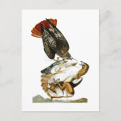 Hawk John James Audubon Birds America met een rode Briefkaart (Voorkant)