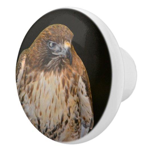 Hawk Keramische Knop (Rechts)