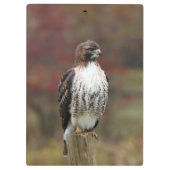 Hawk-klembord Klembord (Achterkant)
