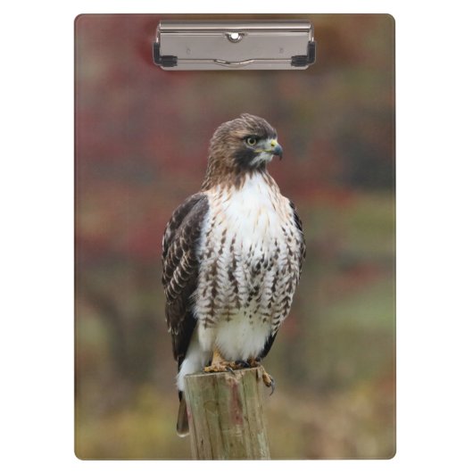Hawk-klembord Klembord (Voorkant)