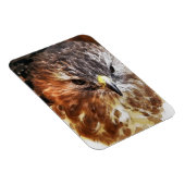 HAWK MAGNEET (Rechterzijde)