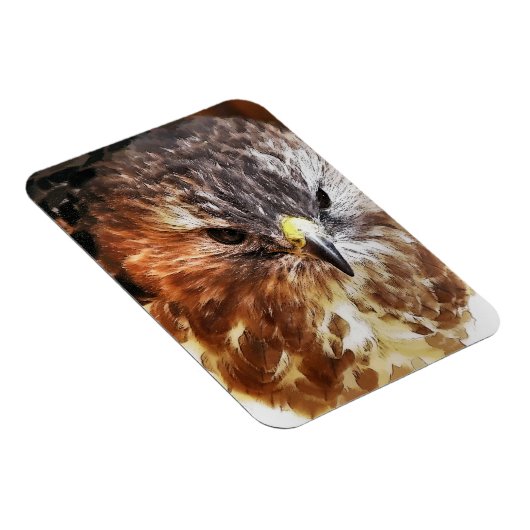 HAWK MAGNEET (Rechterzijde)