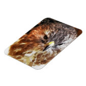 HAWK MAGNEET (Linkerzijde)