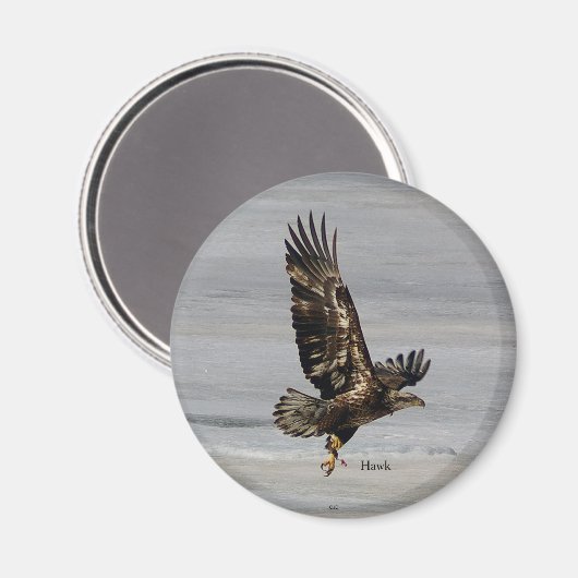 Hawk magnet (Voorkant / Achterkant)