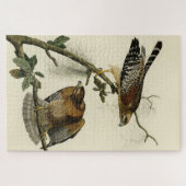Hawk met rode schouders - Amerikaanse vogels van A Legpuzzel (Horizontaal)