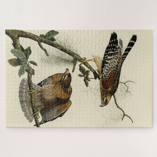 Hawk met rode schouders - Amerikaanse vogels van A Legpuzzel (Horizontaal)