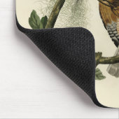 Hawk met rode schouders - Amerikaanse vogels van A Muismat (Hoek)