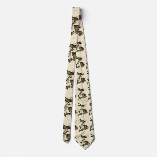 Hawk met rode schouders - Amerikaanse vogels van A Stropdas (Achterkant)