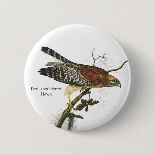 Hawk met rode schouders, Audubon, Birdwatcher's Bi Ronde Button 5,7 Cm