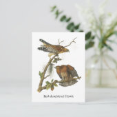 Hawk met rode schouders, John Audubon Briefkaart (Staand voorkant)
