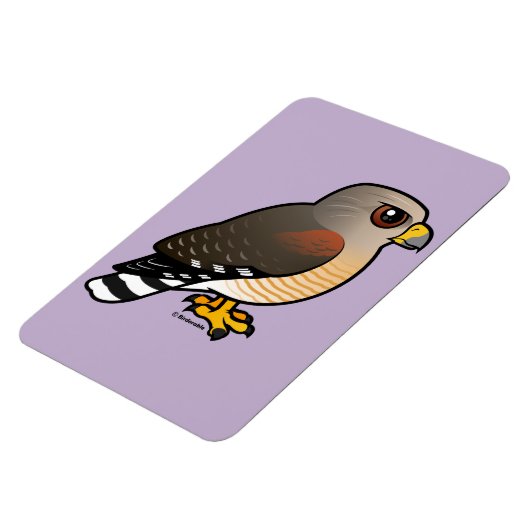 Hawk met rode schouders magneet (Linkerzijde)