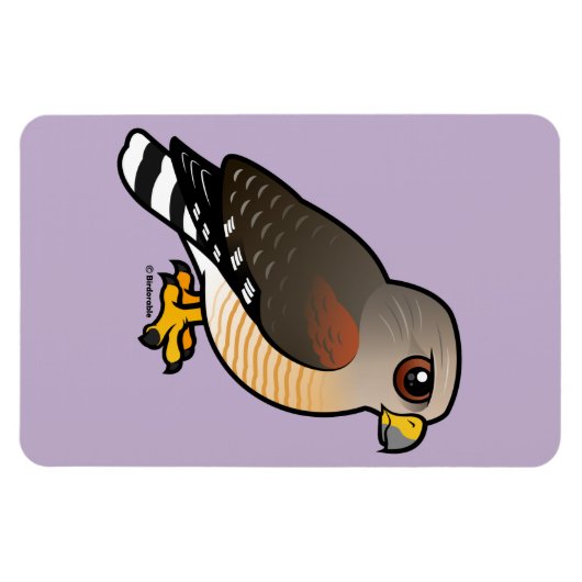 Hawk met rode schouders magneet (Horizontaal)