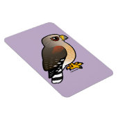Hawk met rode schouders magneet (Rechterzijde)