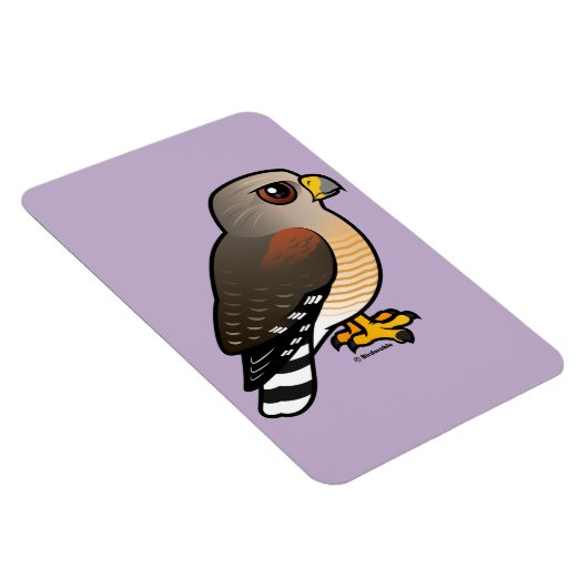 Hawk met rode schouders magneet (Rechterzijde)