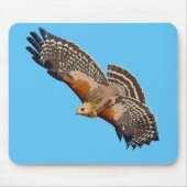 Hawk met rode schouders muismat (Voorkant)