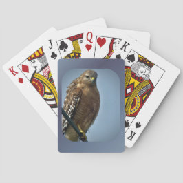 Hawk met rode schouders pokerkaarten