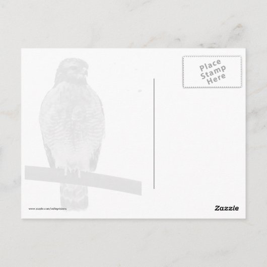 Hawk met roodschouderklopjes briefkaart (Achterkant)