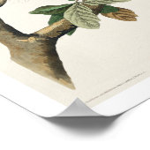 Hawk met roodschouders door Poster van Audubon (Hoek)