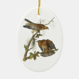 Hawk met roodschouders, met Audubon Keramisch Ornament