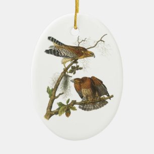 Hawk met roodschouders, met Audubon Keramisch Ornament