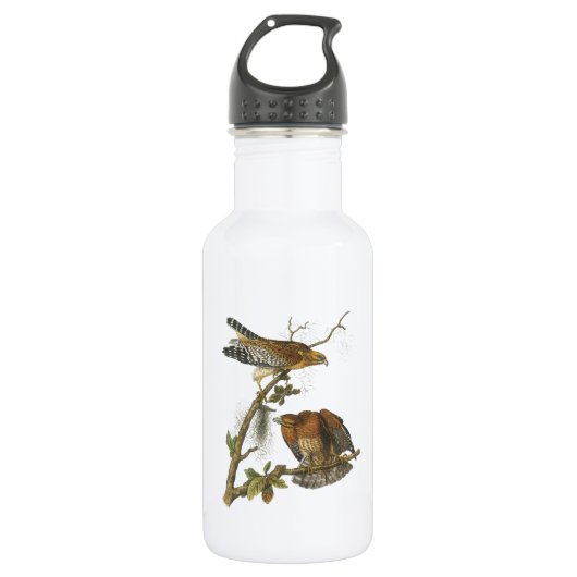 Hawk met roodschouders, met Audubon Waterfles (Voorkant)