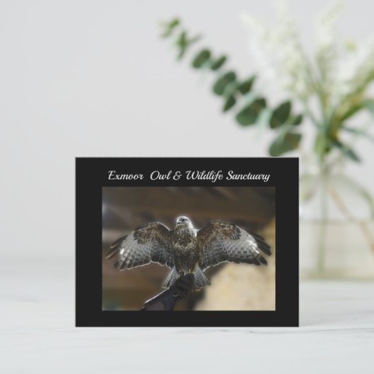 Hawk met Wings Out Exmoe Wildlife Sanctuary Feestdagenkaart (Staand voorkant)