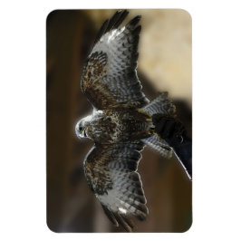 Hawk met Wings uit Exmole Owl & Wildlife Sanctuary Magneet