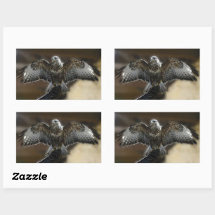Hawk met Wings uit Exmole Owl & Wildlife Sanctuary Rechthoekige Sticker