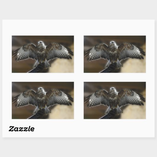 Hawk met Wings uit Exmole Owl & Wildlife Sanctuary Rechthoekige Sticker (Vel)