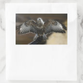 Hawk met Wings uit Exmole Owl & Wildlife Sanctuary Rechthoekige Sticker (Tas)