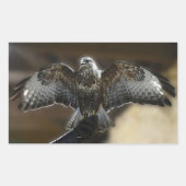 Hawk met Wings uit Exmole Owl & Wildlife Sanctuary Rechthoekige Sticker (Voorkant)