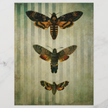 Hawk Moths Scrapbook Ephemera