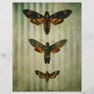 Hawk Moths  Scrapbook Ephemera