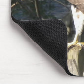 Hawk Mousepad Muismat (Hoek)