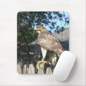 Hawk Mousepad Muismat (Met muis)