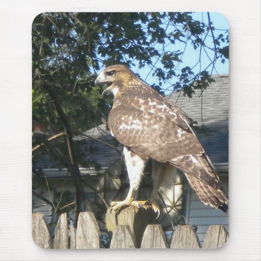 Hawk Mousepad Muismat (Voorkant)