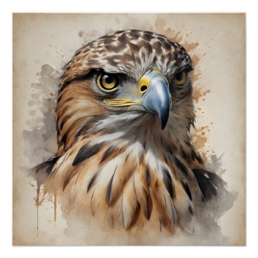 Hawk no 1 Glanzend Poster (Voorkant)
